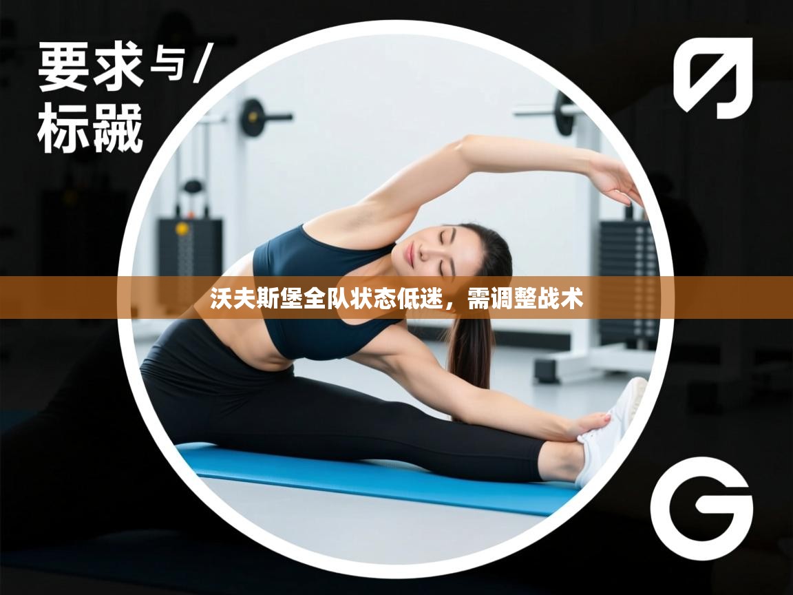 沃夫斯堡全队状态低迷，需调整战术  第1张