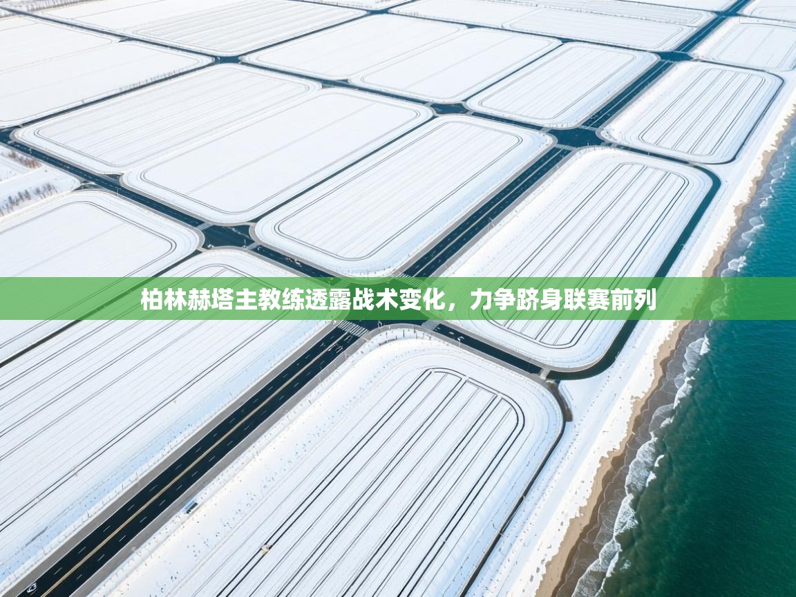 柏林赫塔主教练透露战术变化,力争跻身联赛前列 第2张